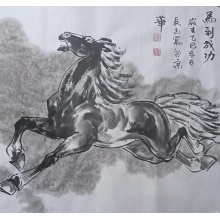 伤友测试2